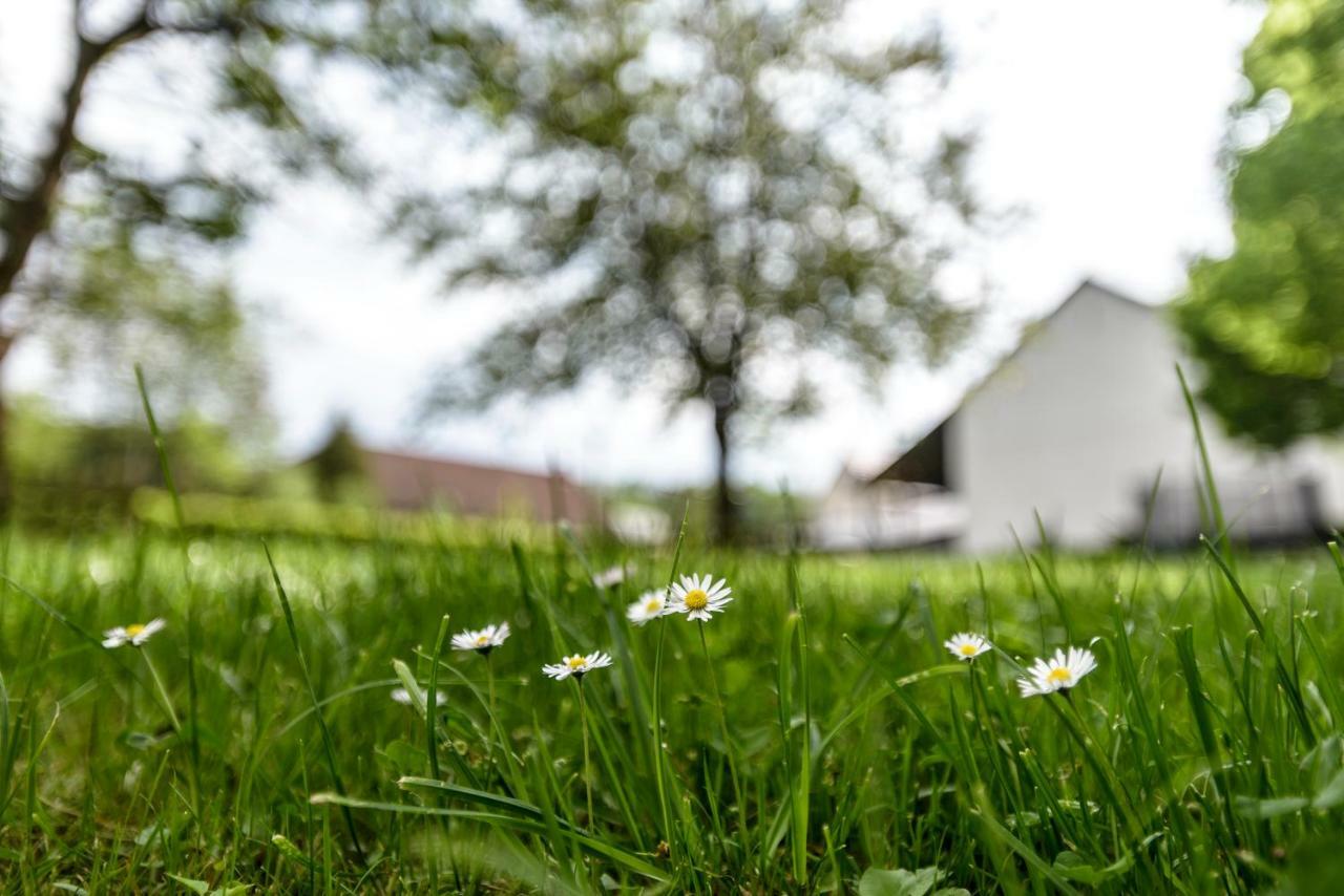 Nengshof Ferienwohnung Wildrose Wissmannsdorf Екстер'єр фото