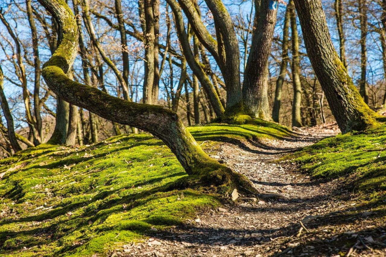 Nengshof Ferienwohnung Wildrose Wissmannsdorf Екстер'єр фото